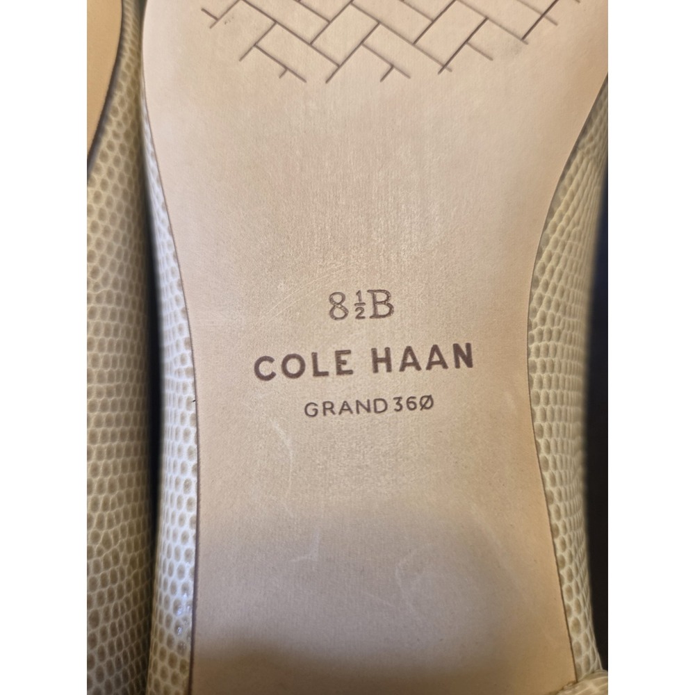 Cole Haan Women's Skylar Lizard Print Ballet Flats Oat W33470 Sz 8.5 NEW! $200 - Picture 11 of 12